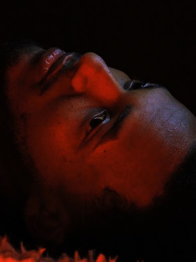 The Reason... | amanu creation