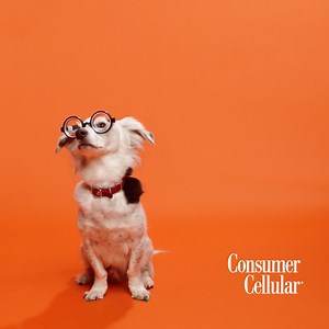 How Much Data Do You Really Need? Connect for Less with Consumer Cellular. Talk, Text and Data is as Low as $20 a Month. | Consumer Cellular