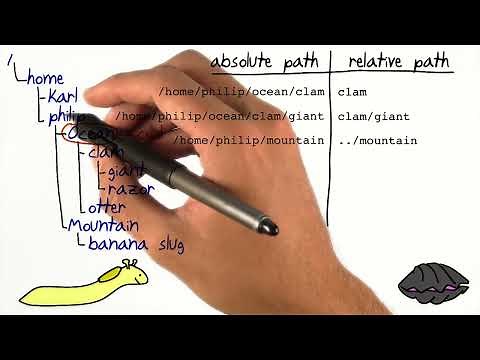 Absolute and Relative Paths