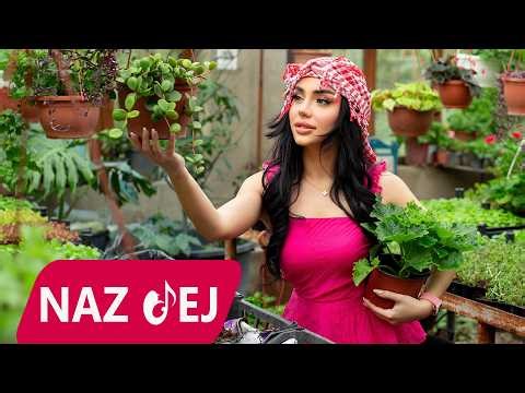 Naz Dej - Ya Habibi 2026 (Official Music Video)