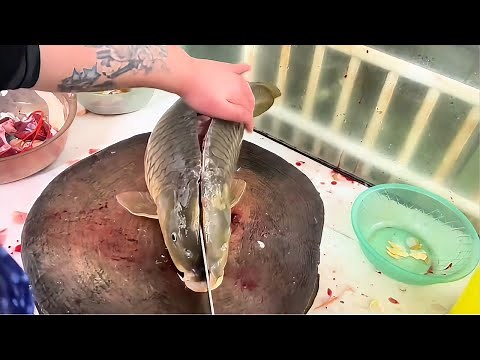 Mastering Fish Filleting: Step-by-Step Carp