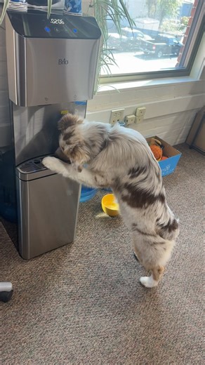 Ryan Brown (@rbrownfitness)’s videos with Sybau - KCK Mixes