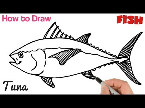 How to Draw Tuna Fish Easy for Beginners | Art Tutorial