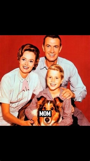 Tribute from Hollywood to June Lockhart from his on screen son from Lassie #HollywoodLegend #hollywood #celebritynews #celebritydeaths #fbreels #fblifestyle #junelockhart | Hollywood Elite