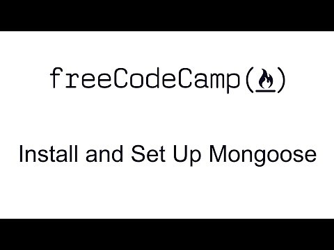 Install and Set Up Mongoose - MongoDB and Mongoose - Free Code Camp
