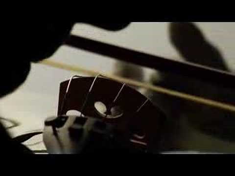 apologize (it's too late) with lyrics