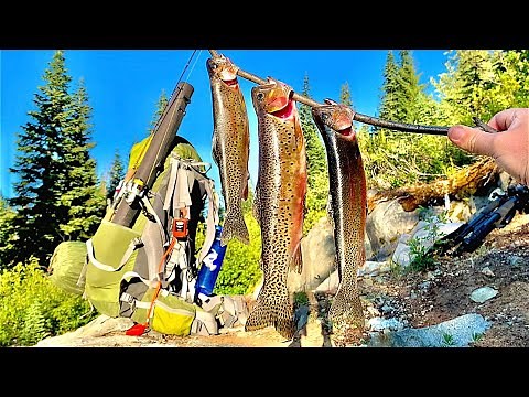MOUNTAIN TROUT Fishing!!! 24H SOLO Catch, Cook, Camp & Filming Wild Axolotls!