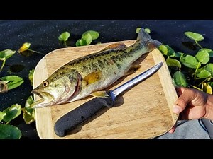 Catch And Cook Largemouth Bass!
