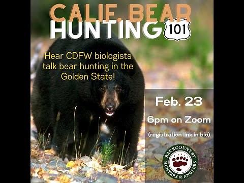 California Bear Hunting 101
