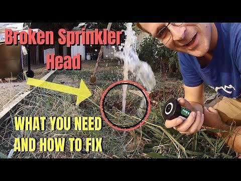 Broken Sprinkler Head / RainBird / What You Need And How To Fix