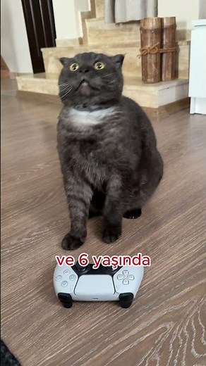 I AM HAKAN