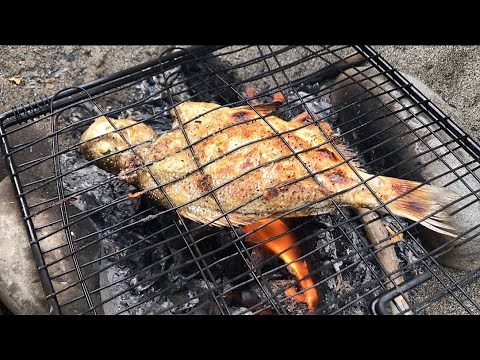 Catching - Cooking - Eating | Surf Perch Fish