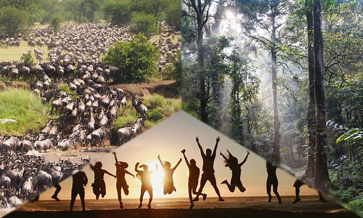 One Health and the Role of Geneva