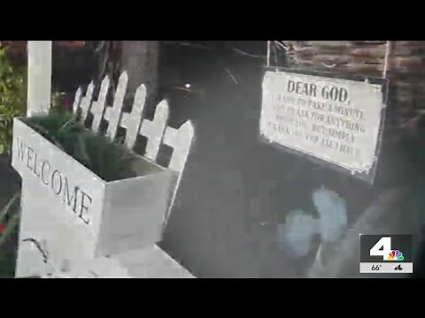 Aliens in Compton? Home security camera captures strange creature