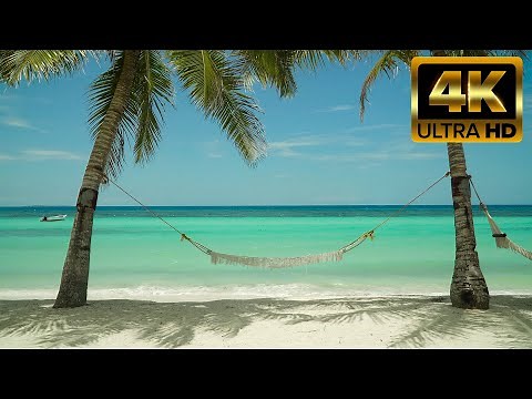 🌴Calm Tropical Beach Relax on a hammock with Wave Sounds 8 hrs 4K