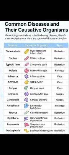 common disease and there causative organisms What are COMMON Diseases and Their Causative Organisms?