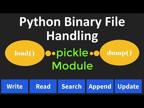 Practice Programs on Binary File Handling in Python