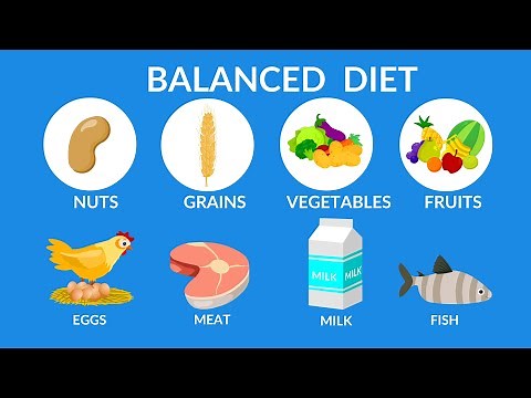 Balanced Diet || Best food for health