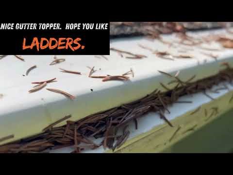 Why Gutter Toppers Fail – And Why LeafGuard® Is the Real Solution 💧🏠