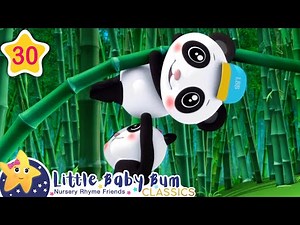 Panda-Finger Family! | Little Baby Bum Animal Club | Fun Songs for Kids