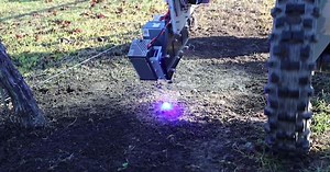 AI tech used to identify, kill weeds with lasers in successful trials
