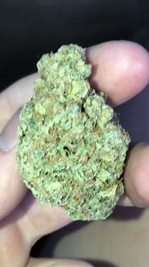 Tropicanna | Marijuana Strain Reviews