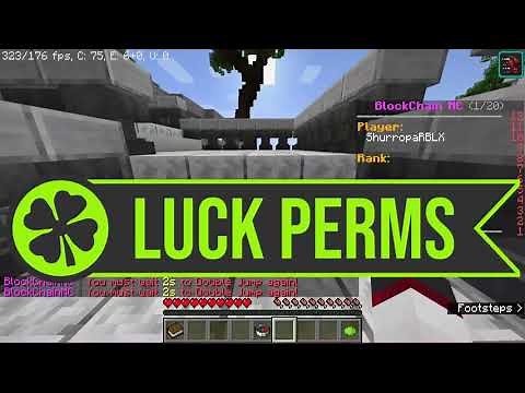 How to setup & use Luckperms | Minecraft Server Plugin!