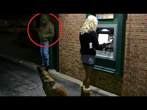 Dogs Protecting Their Owners with Training Footage | Dogs are better than guns
