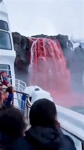 Mystery of red snow ❄️ #mystery #science #viral #shorts #Antarctica