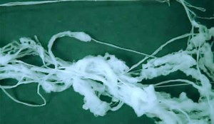 What Exactly is Angel Hair? We Analyze and Discuss This Mysterious Substance - UFO Insight