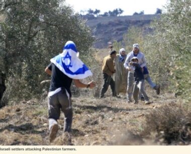 West Bank: Colonizers, Soldiers Attack Palestinian Farmers