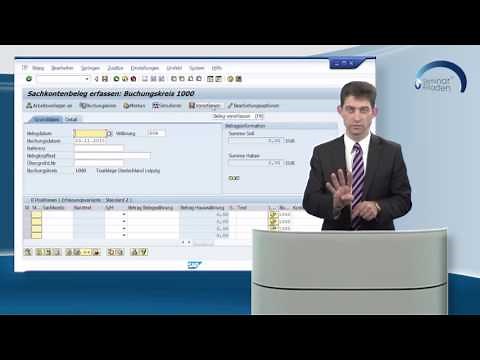 SAP® Finanzbuchhaltung Buchungshilfen (Lernvideo)