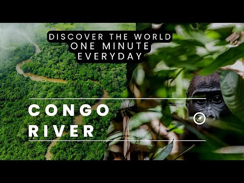 Congo River. World's Deepest River And A True Natural Powerhouse.
