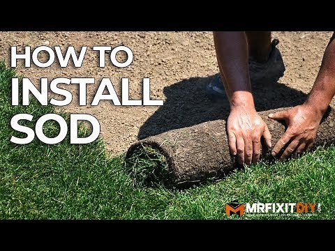 How to Install Sod | A DIY Guide