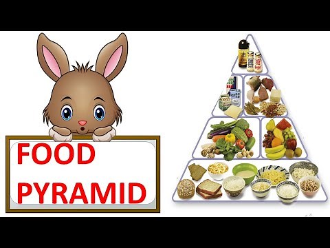FOOD PYRAMID || HEALTHY DIET || HEALTHY PLATE || SCIENCE VIDEO FOR CHILDREN