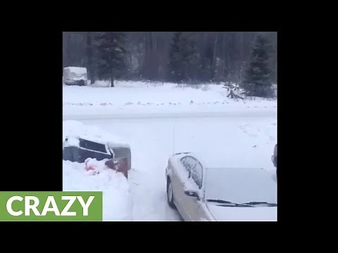 This Clip Just Captured The Most Terrifying Sounds In The Canadian Woods