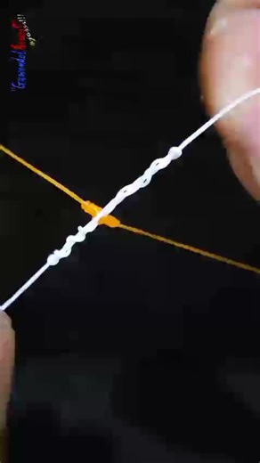 Essential Fishing Knots to Master