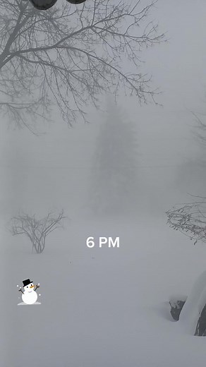 12 Hours of Snowfall in Buffalo, NY