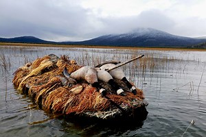 Duck Boats You Should Totally Buy, From Functional to Fully Tricked Out