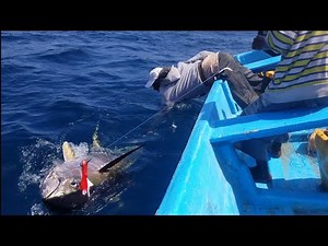 Yellowfin Tuna Fish Catching Skills In Indian Ocean Handline Fish Amazing Fishing Video ( PART 1 )