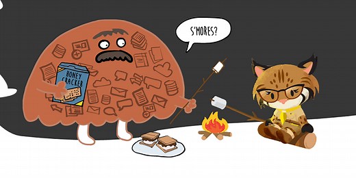 How to Create a Salesforce API Usage Report and Manage your API Calls