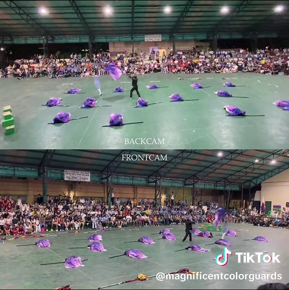 Colorguard Ensemble Champion Performance Highlights