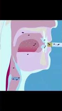 How Do Cigarettes Affect The Body 😳... #history #strangefamous #shorts