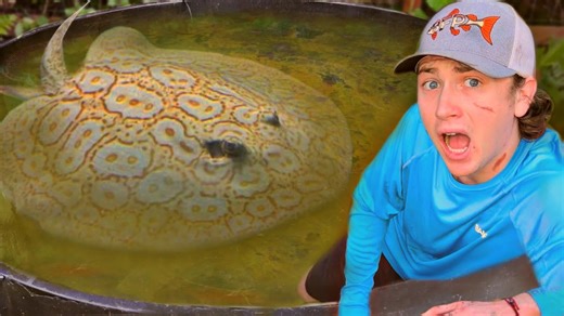 Shocking discovery - I found an alien in my pond