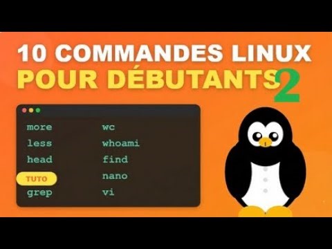 10 Essential Linux Commands – Part 2 (more, grep, find, vi…)