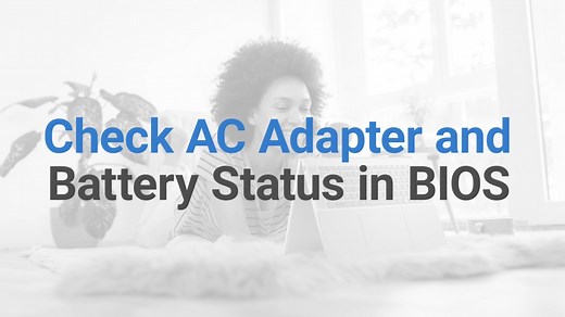 Check AC Adapter and Battery Status in BIOS