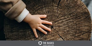 What is a Circular Economy and How Does it Work? - Network for Business Sustainability (NBS)