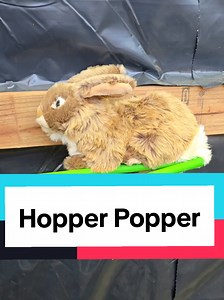 Hopper Popper for Rabbits: How It Works and Why Homesteaders Use It