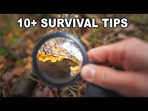 10+ Outdoor Survival Skills & Bushcraft Tips