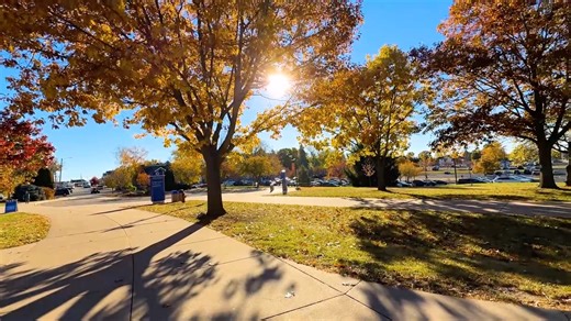 Campus transforms this time of year! Take a one-minute walkthrough and see for yourself. Some of the most vibrant reds and yellows around! 🍁☀🧡 | University of Wisconsin-Platteville